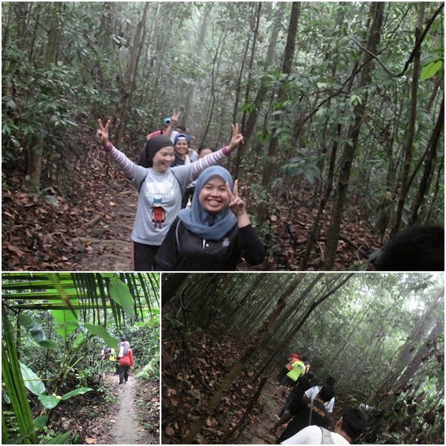 Along the trail - hiking in kota damansara community forest 