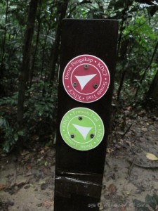 scouts trail for hiking in kota damansara community forest